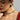 heirloom-studs-18k-plated-1