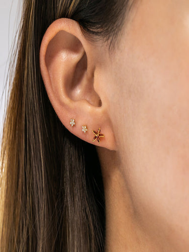 Starfish Ear Piercings