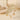 Starfish shell Necklace for women