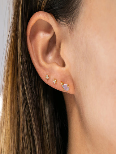 Whale Ear Piercings