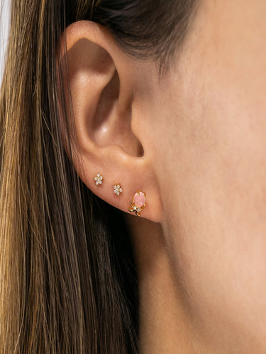 Octopus Ear Piercings