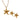 celestial-starfish-set-combo