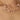 plero-necklace-18k-plated