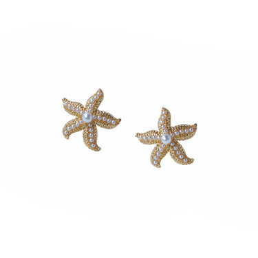 Starry Seashell Studs |14K Plated