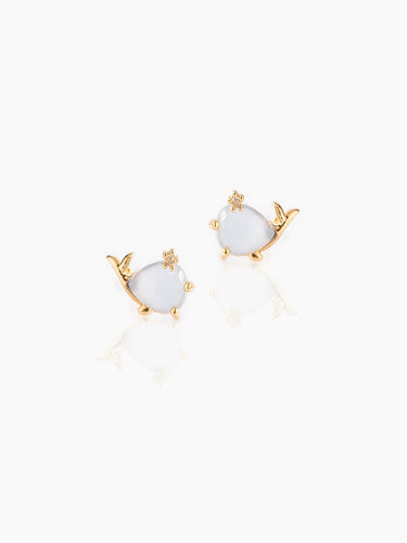 Whale Ear Piercings