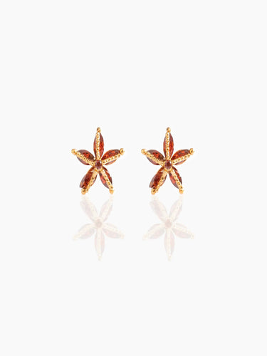 Starfish Ear Piercings