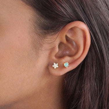 Petals & Pals Earring Set | 18K Plated