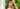 Desktop Banner 